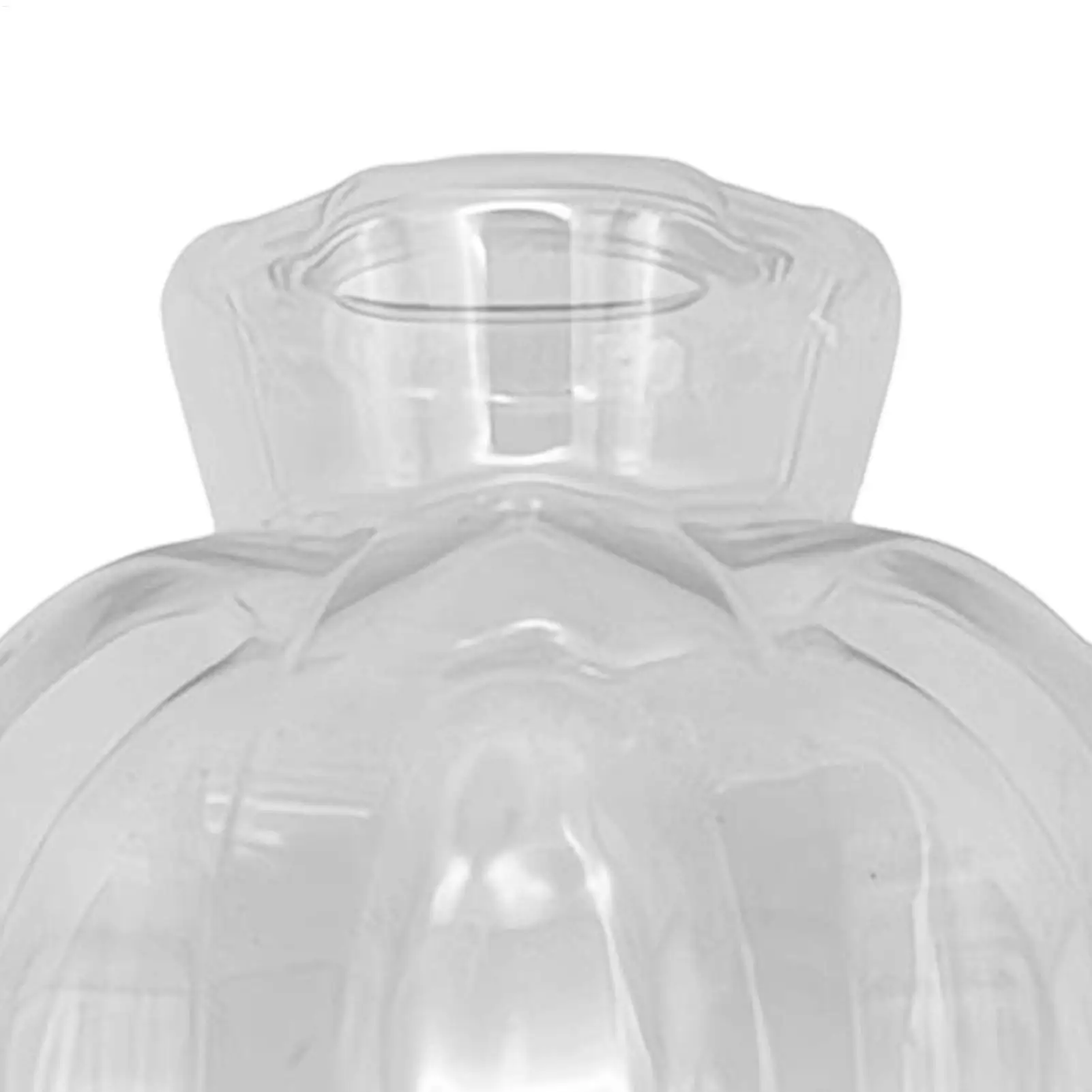 

Water Globes For Indoor Plants 17Oz Automatic Drippers With Lid Slow Release Plant Watering Stakes Up To 2 Weeks For Indoor Yard