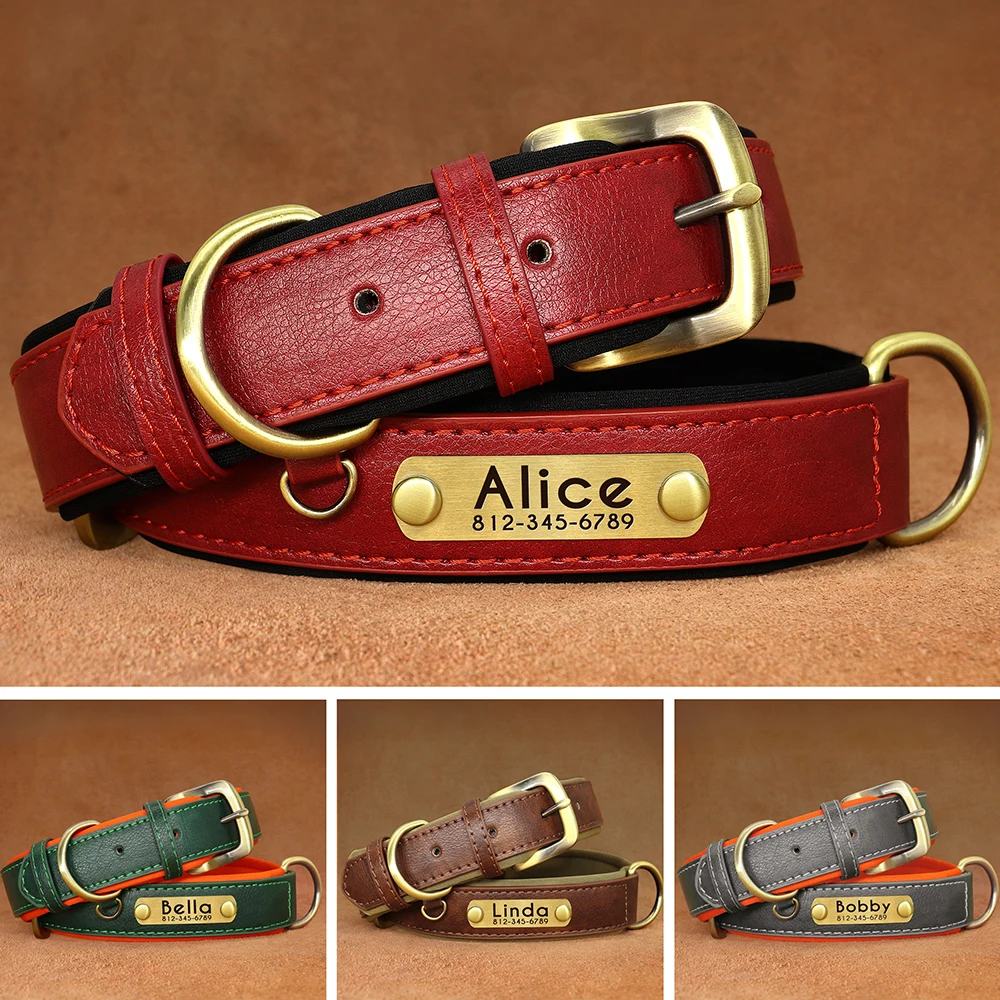 Thumbnail 4 - #75 Best Pet Collars to Buy In 2026