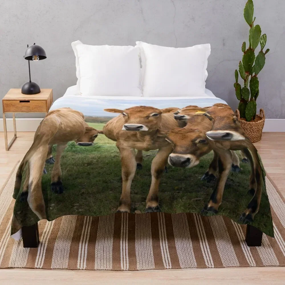 

Curious Jersey Cows Throw Blanket Color Fast Cozy Throw Blanket