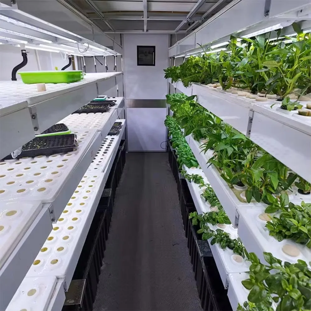 Leafy Vegetable Container Farm: Intelligent Vertical Planting System with Automated LED & DWC Hydroponics
