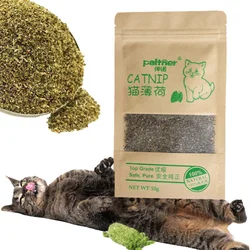 Hierba gatera Premium para gatos, 100% Natural, sabor a mentol, no tóxico, accesorios saludables para gatos, 10g