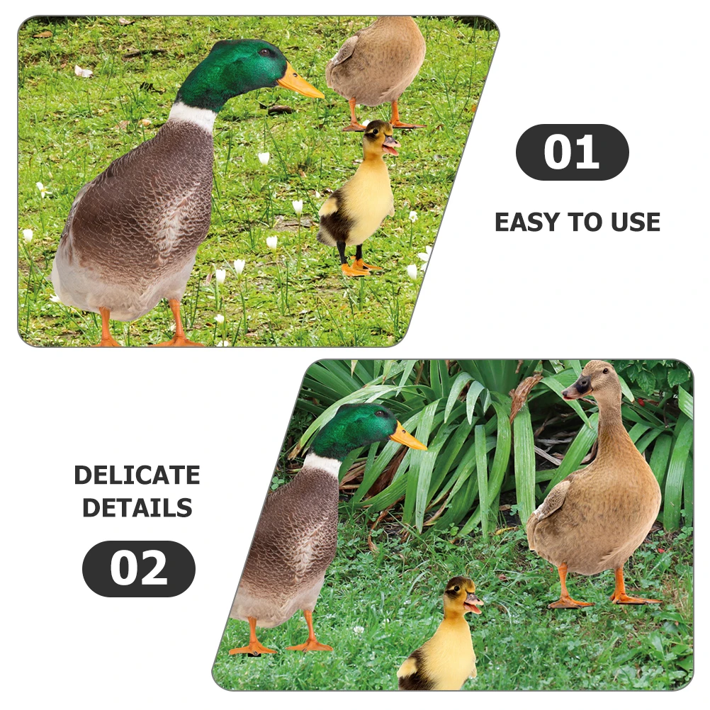 

3pcs Acrylic Outdoor Lawn Decorations Ornaments Sturdy Weather Resistant Lawn Yard Stakes Inserts Yard Animal Stakes Outdoor