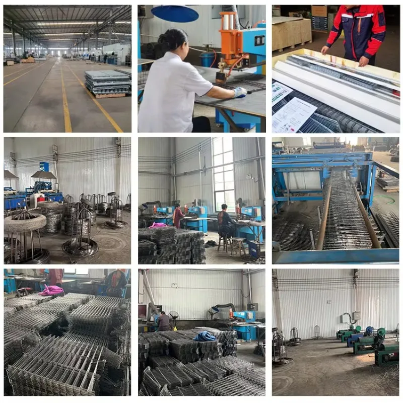 500 Allevamento di polli a deposizione automatica di galline/batteria a strati una gabbia per polli di tipo per l'allevamento di pollame