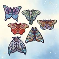 HP-Set-0162
