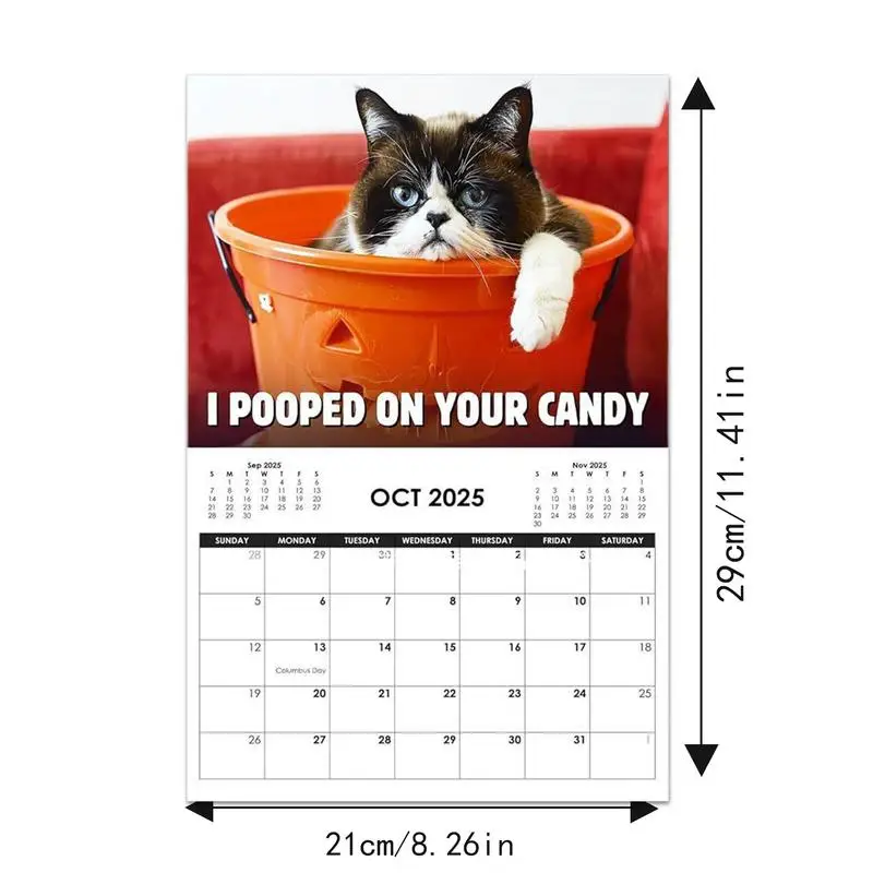 2025 Cat Calendar Angry Kitten Calendar For Home Fun Month 2025 Planner Calendar Creative Cute Kitten 2025 Wall Art Calendar