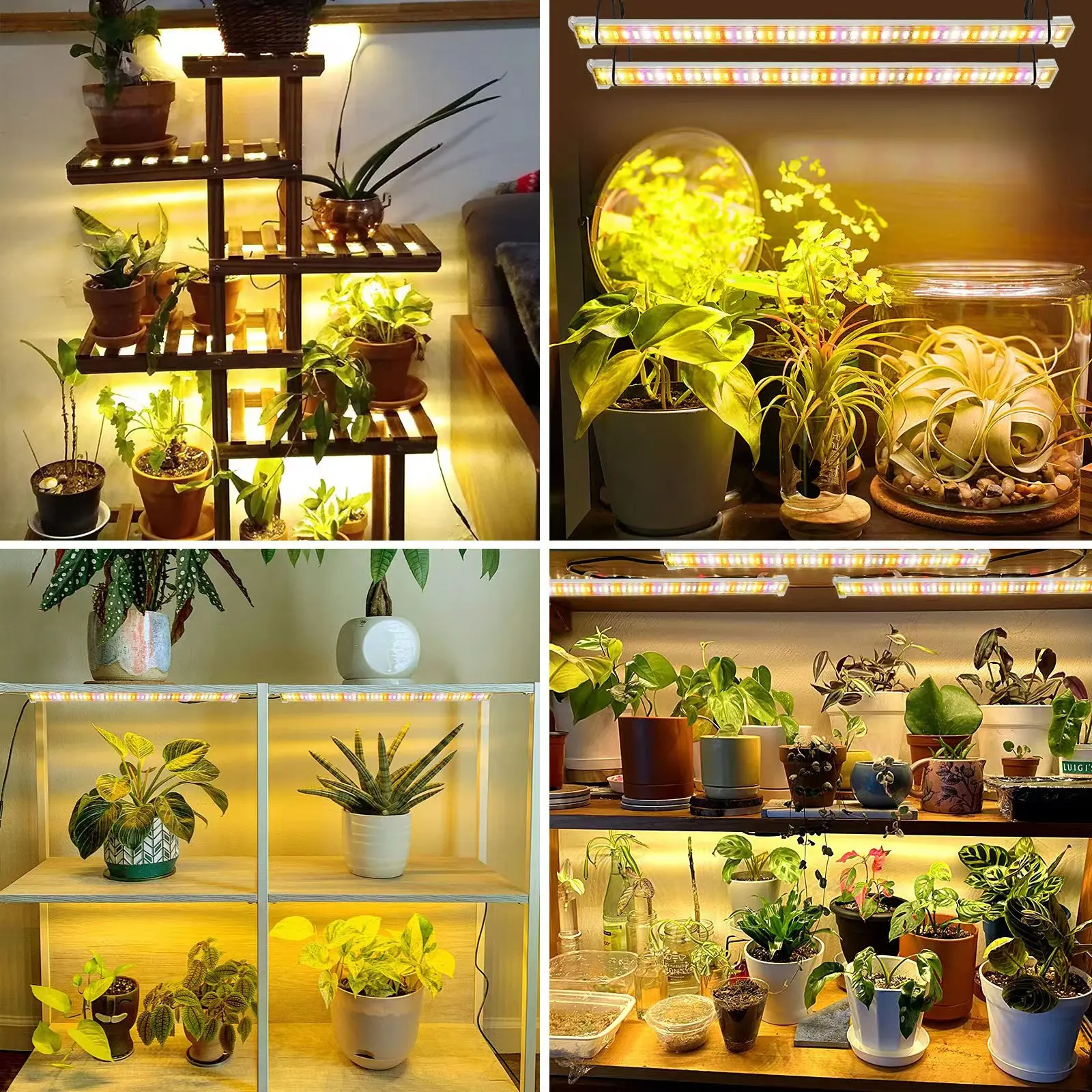 Imagem -06 - Full-spectrum Hard Light Strip Plant Lamp a Drag Oito Led Sincronismo Indoor Nursery Lâmpada de Crescimento Carnuda 40 Centímetros Timing