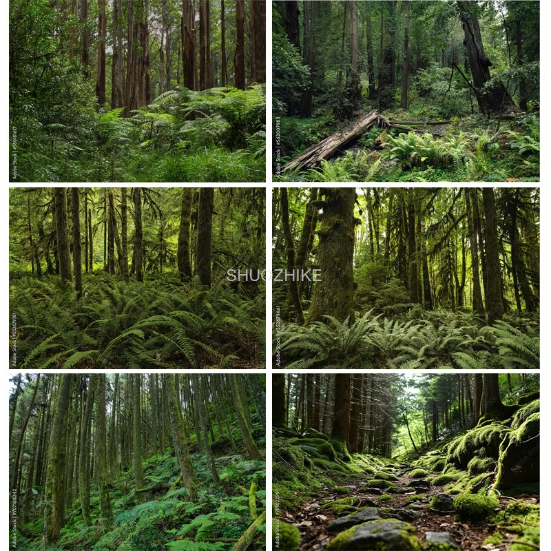 Moss Covered Fallen Trees In Green Coniferous Forest Photography Backdrops Prop Tropical Nature Landscape Theme Background ZL-08