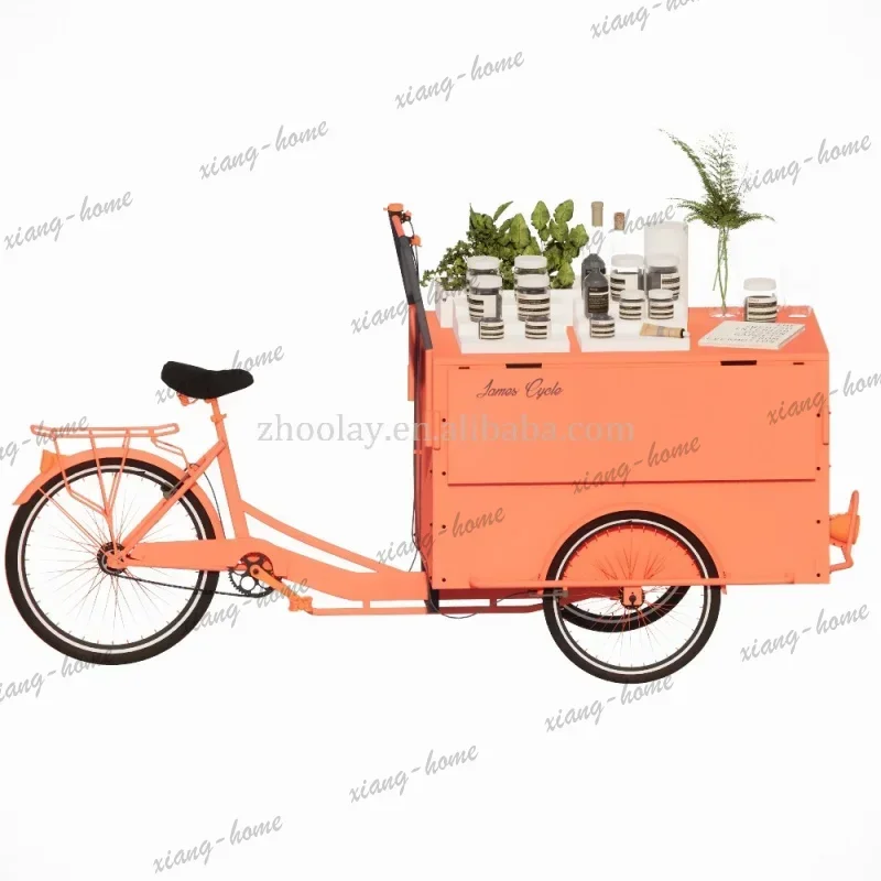 PG custom.Outdoor Metal Iron Flower Cart Food Cart Bicycles Mobiler Verkaufsstand Waffle Dessert  Food Cart Sale