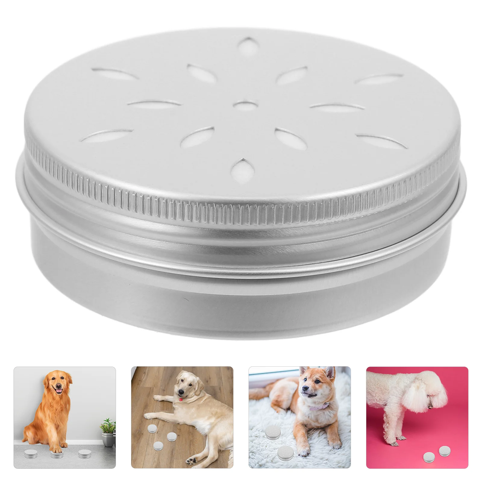 

10 Pcs Dog Scent Training Boxes Nose Tool for Holder Puppies Toy Container Aluminum Supplies Mother Work Puppy Food