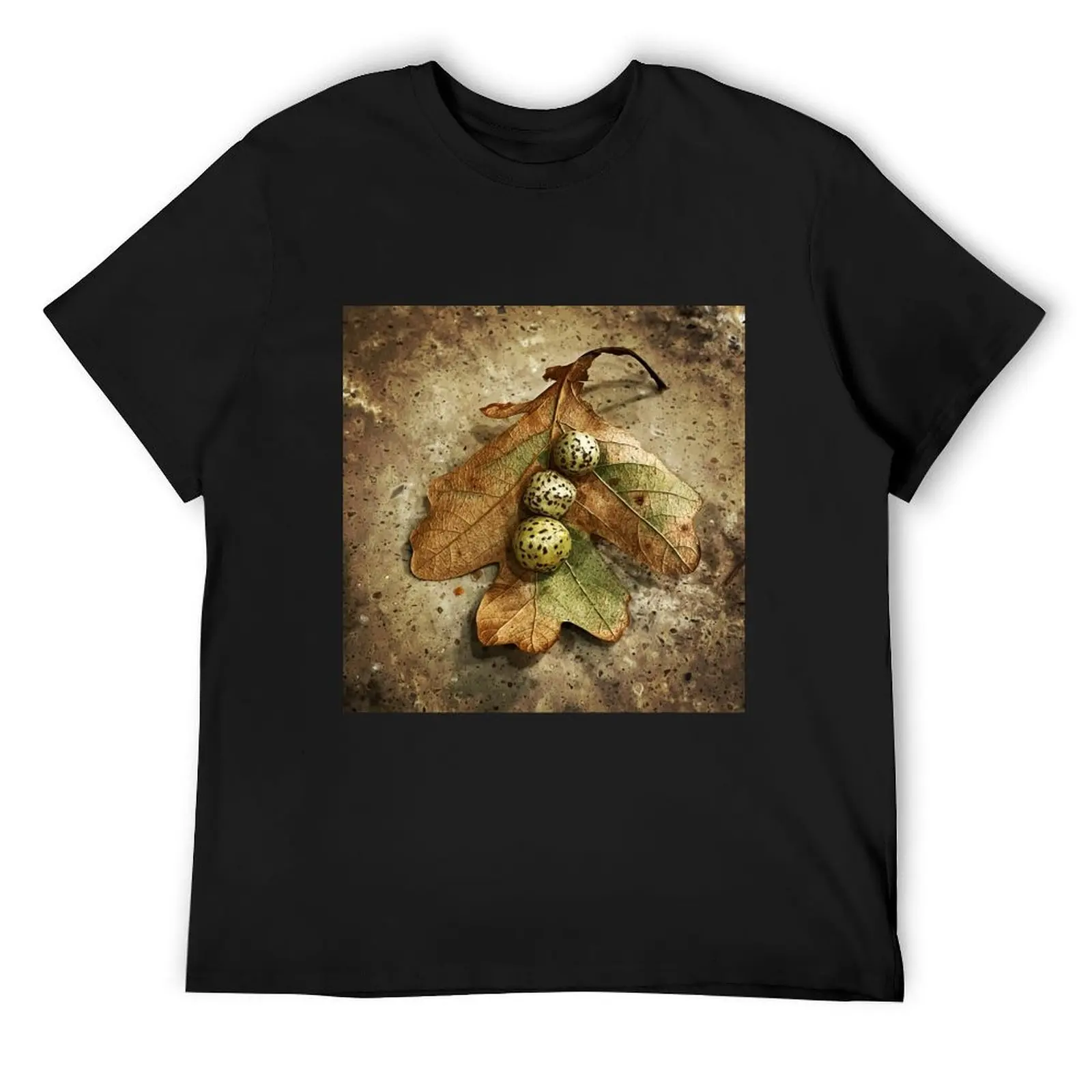 

Oak gall T-Shirt T-shirts oversize oversized t shirt oversizeds shirts men