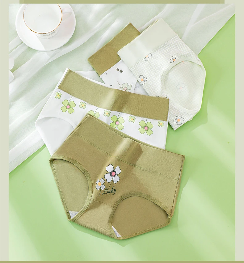 4Pcs/Set High Waist Underwear Cotton Women Panties Fashion Print Ladies Briefs Plus Size Sexy Panty Breathable Female Lingerie