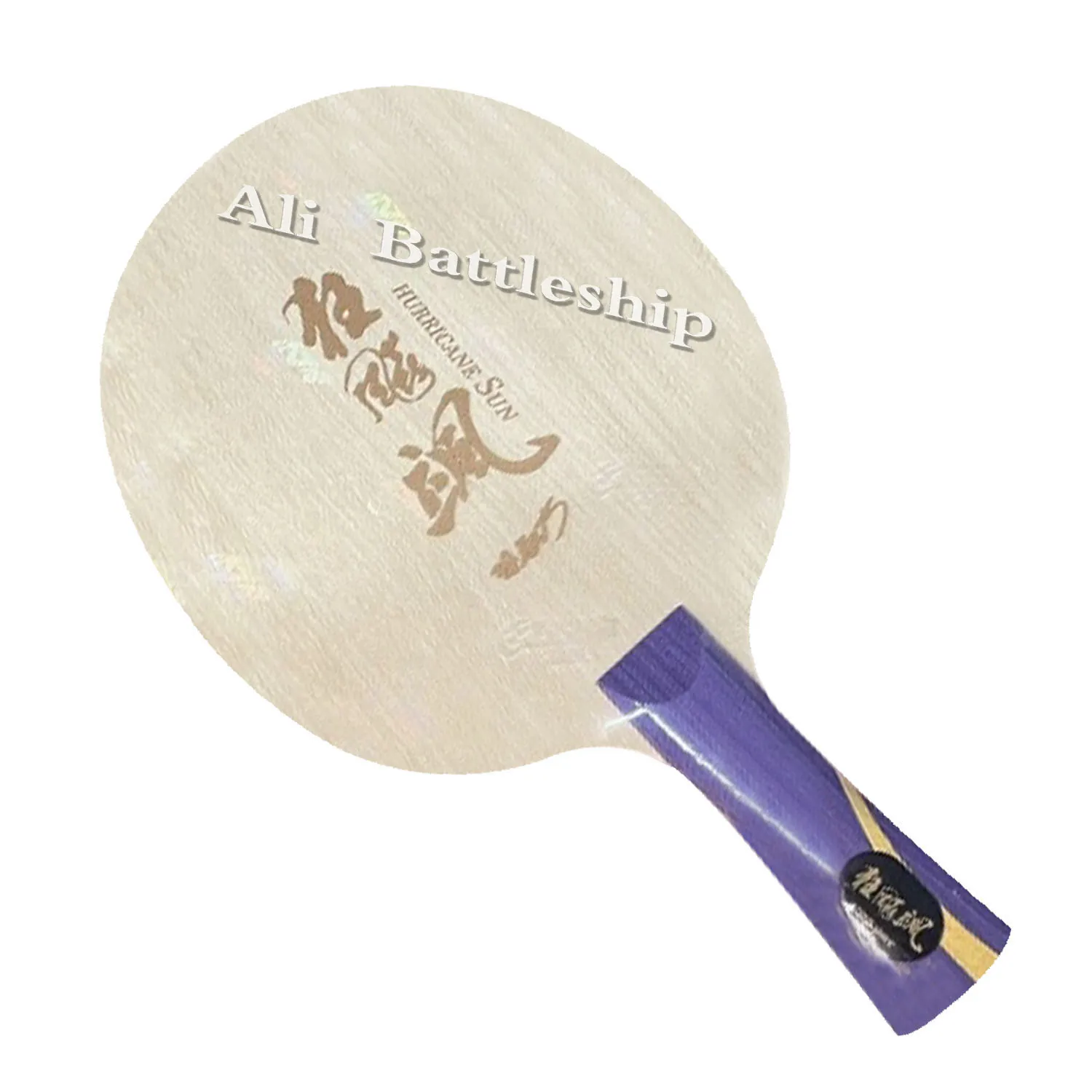 

DHS Hurricane Sha Sun Yingsha with W968-18 Structure Table Tennis Bottom Racket