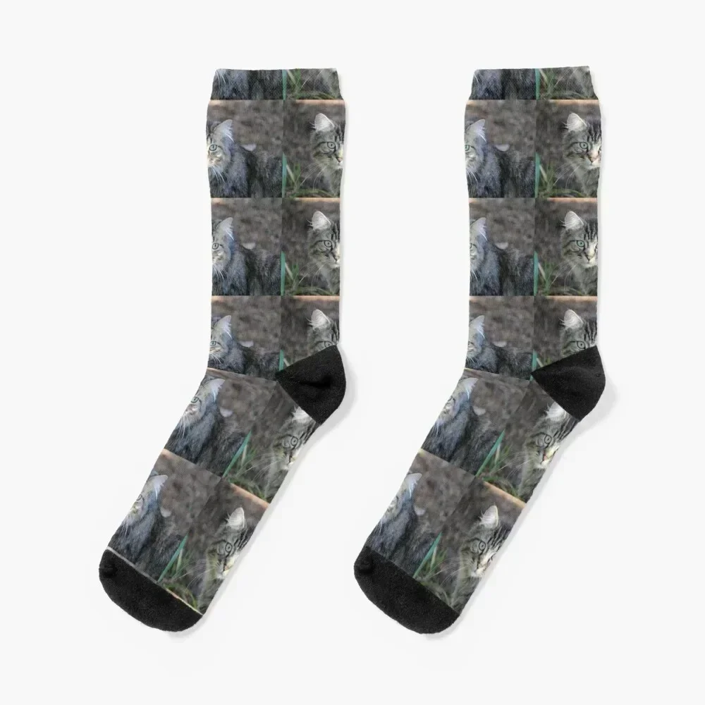 

Tabby Cat Socks with print floor basketball Crossfit Socks Ladies Men's