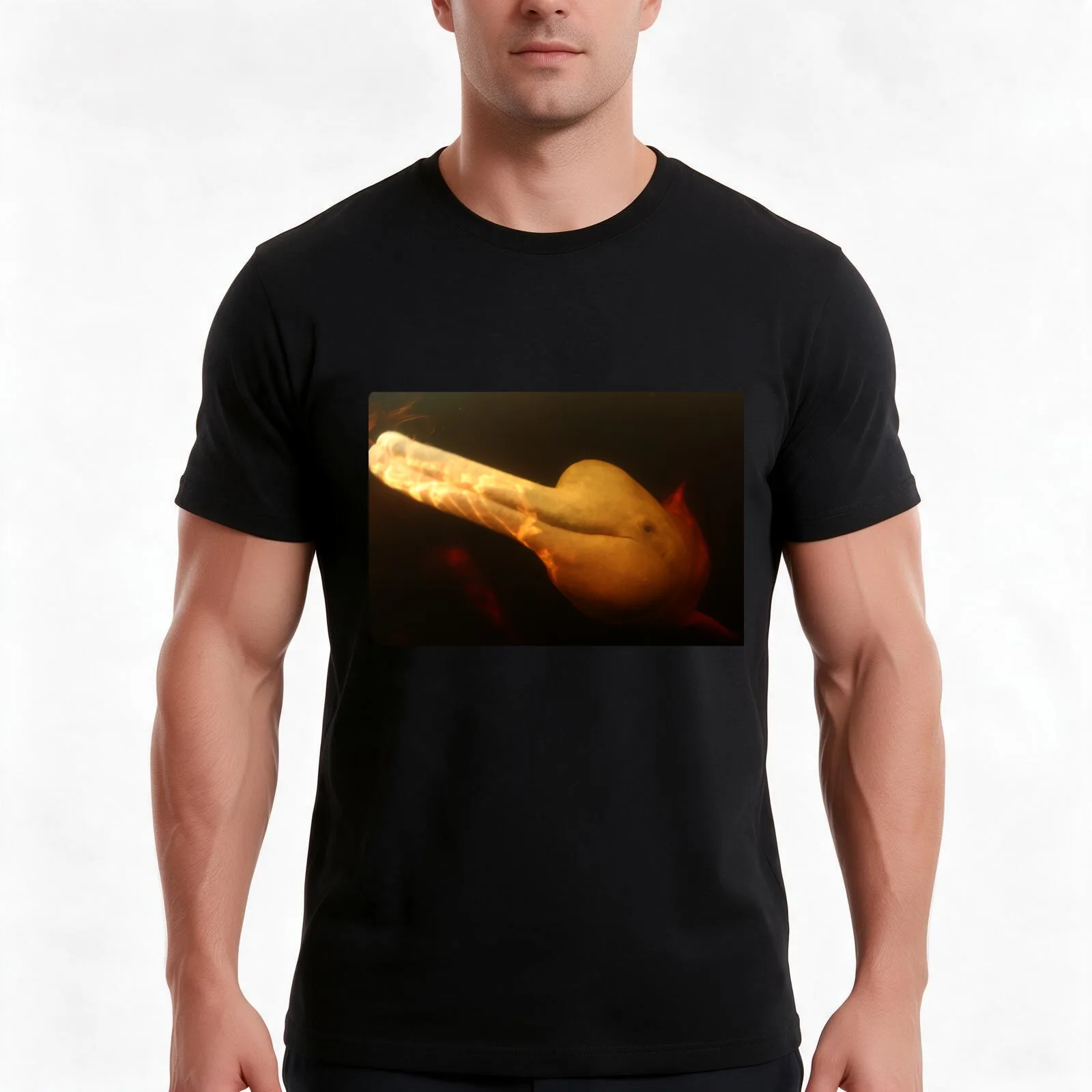 Boto, or Pink Amazon river dolphin T-Shirt, Summer Casual Cotton Tee, Oversized Streetwear Tops, Vintage Graphic Print