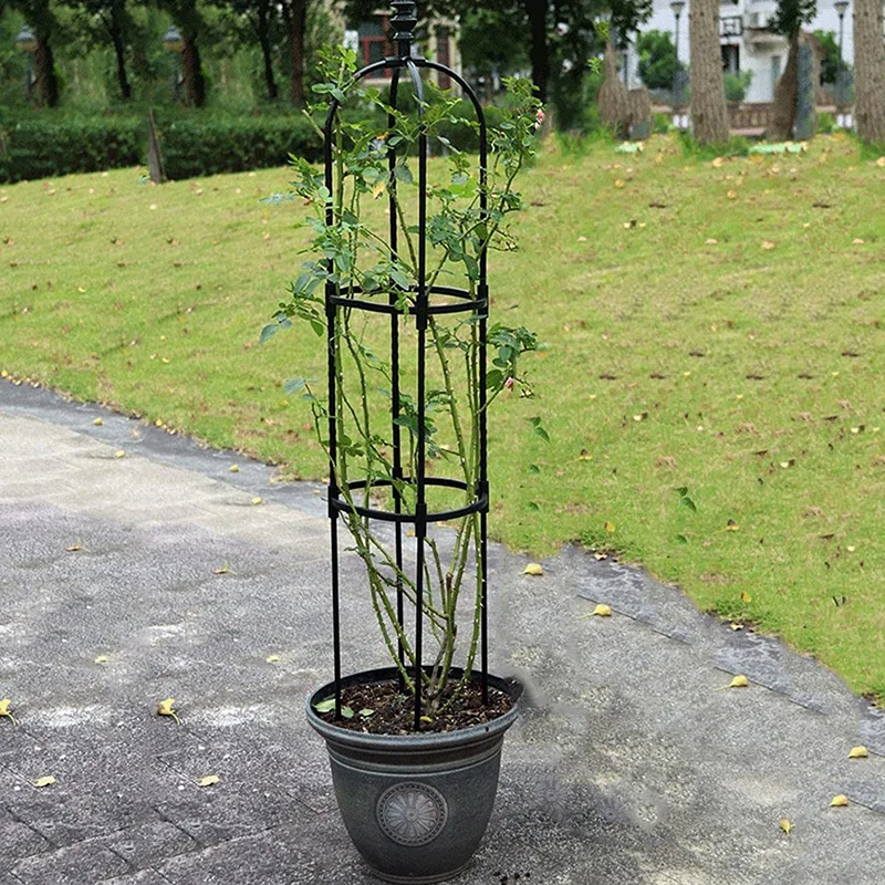 arden Obelisk Arch Rose Bushes Support Stake for Climbing Plants Metal Stake Support Column for Plants Vegetables