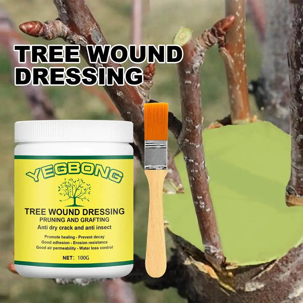 Agente de cura para proteção Garden Tree, Enxertia Colar, árvore ferida vestir, selador de poda com escova, Bonsai ferida idade, O9V7