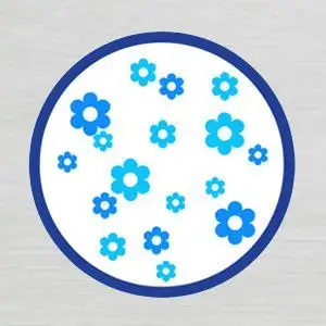 aplus content image