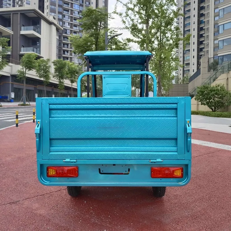 

Electric Cargo Tricycle 800W Cargo Truck 50A Battery 3 Wheel Motorcycle Taxi Vehicle Scooter