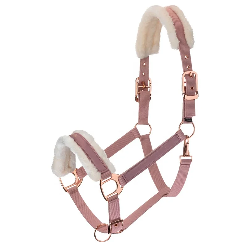 horse riding equipment headstall