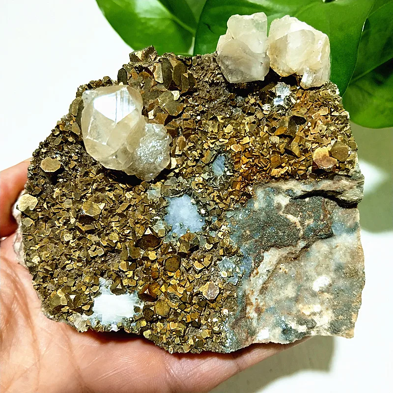 Natural Stone Gold Matte Calcite Clusters Are Associated With Pyrite Symbiont Specimen Meditation Energy Feng Shui Decoration