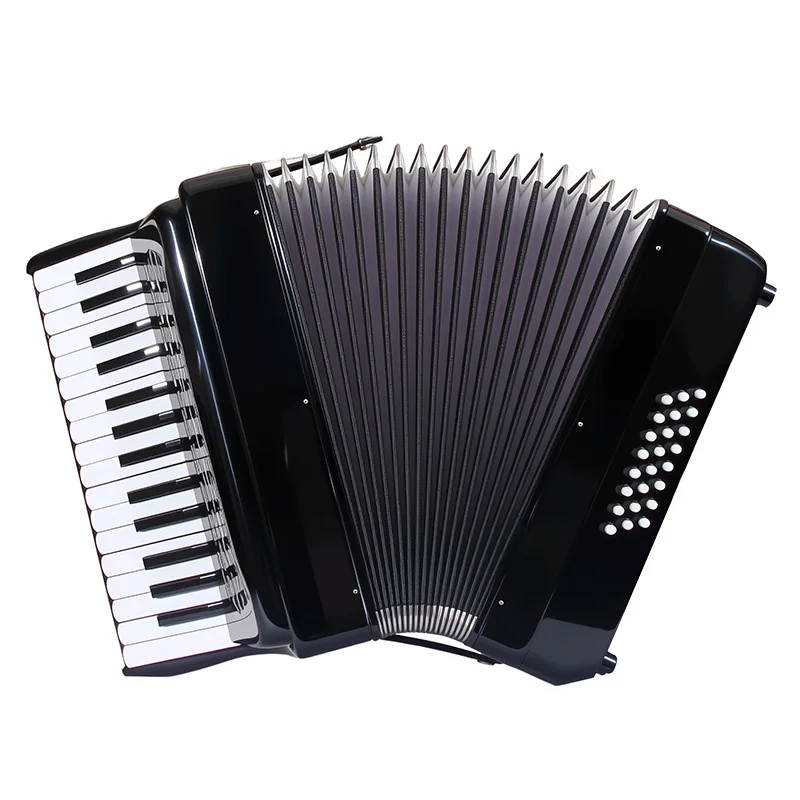 Play Beginner Keyboard Instrument 30 Keys 24 Bass Accordion