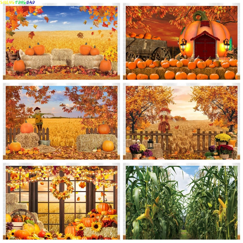 

Autumn Fallen Leaves Sunshine Backdrop for Photography Fall Farm Harvest Pumpkin Sunflower Baby Portrait Background Photo Studio