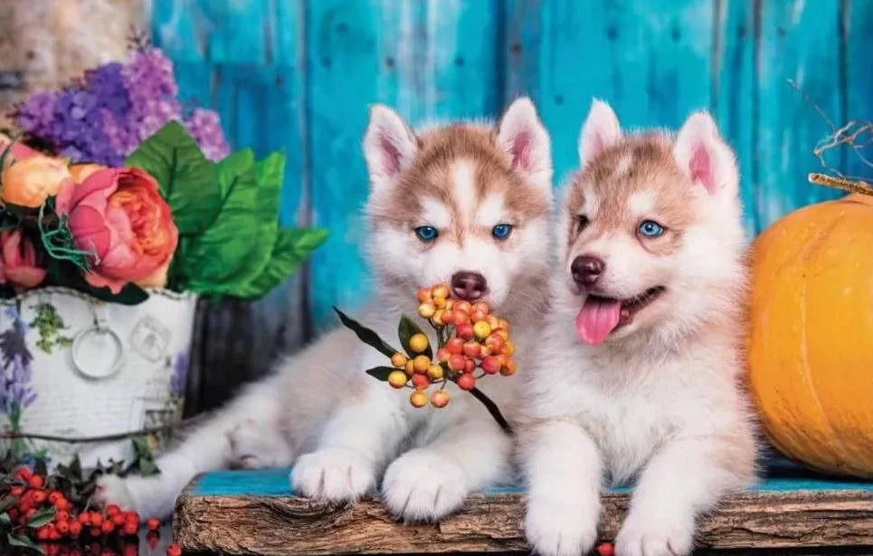 520/500/300 Pieces Wooden Puzzle for  Cute Puppy Jigsaw Puzzles for Challenging Family Activity Games Party Birthday Gift