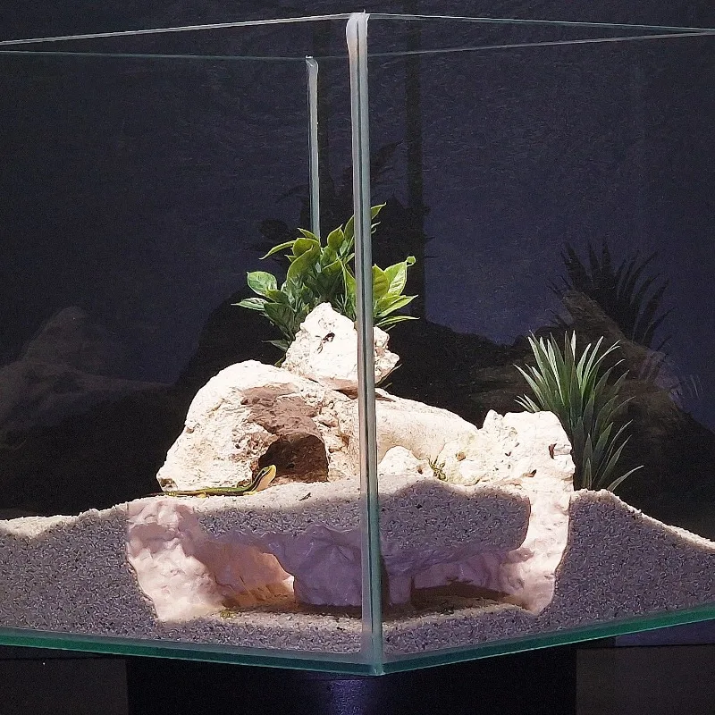 3DPrinted Fish Tank Tunnel Shelter Aquarium Decor Reptile Hideaway Cave for Small Fish Shrimp Crab Gecko Lizard Turtle Amphibian view 4