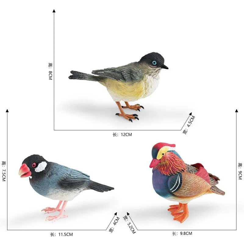 Simulação Pássaro Modelo animal, Diversão Educação Científica Pardal Cognitivo Wen Pássaro, Patos Mandarim, Ornamentos Decorativos, Brinquedos para Crianças Presente