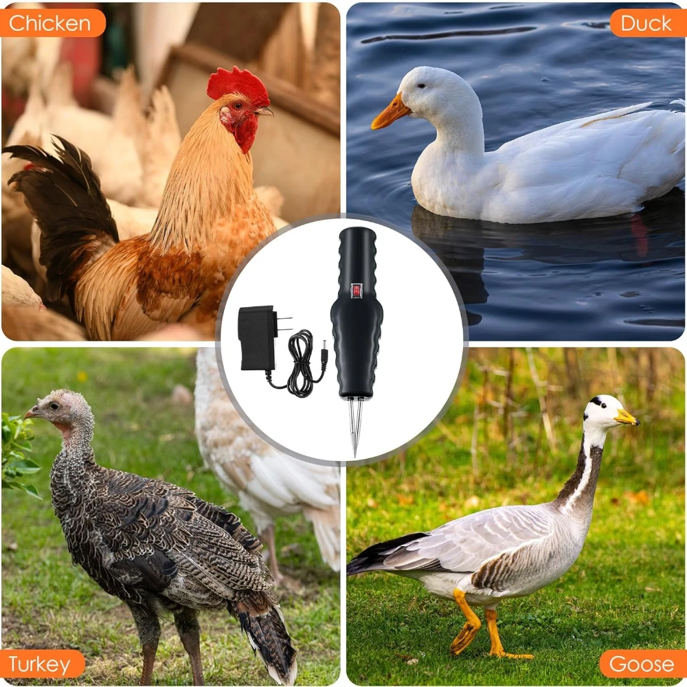 1–4 Stück geflügelte elektrische Federzupfer-Schnellzupfermaschine, tragbare Federentfernung für Huhn, Ente, Gans, Truthahn-Werkzeuge – Detail 5
