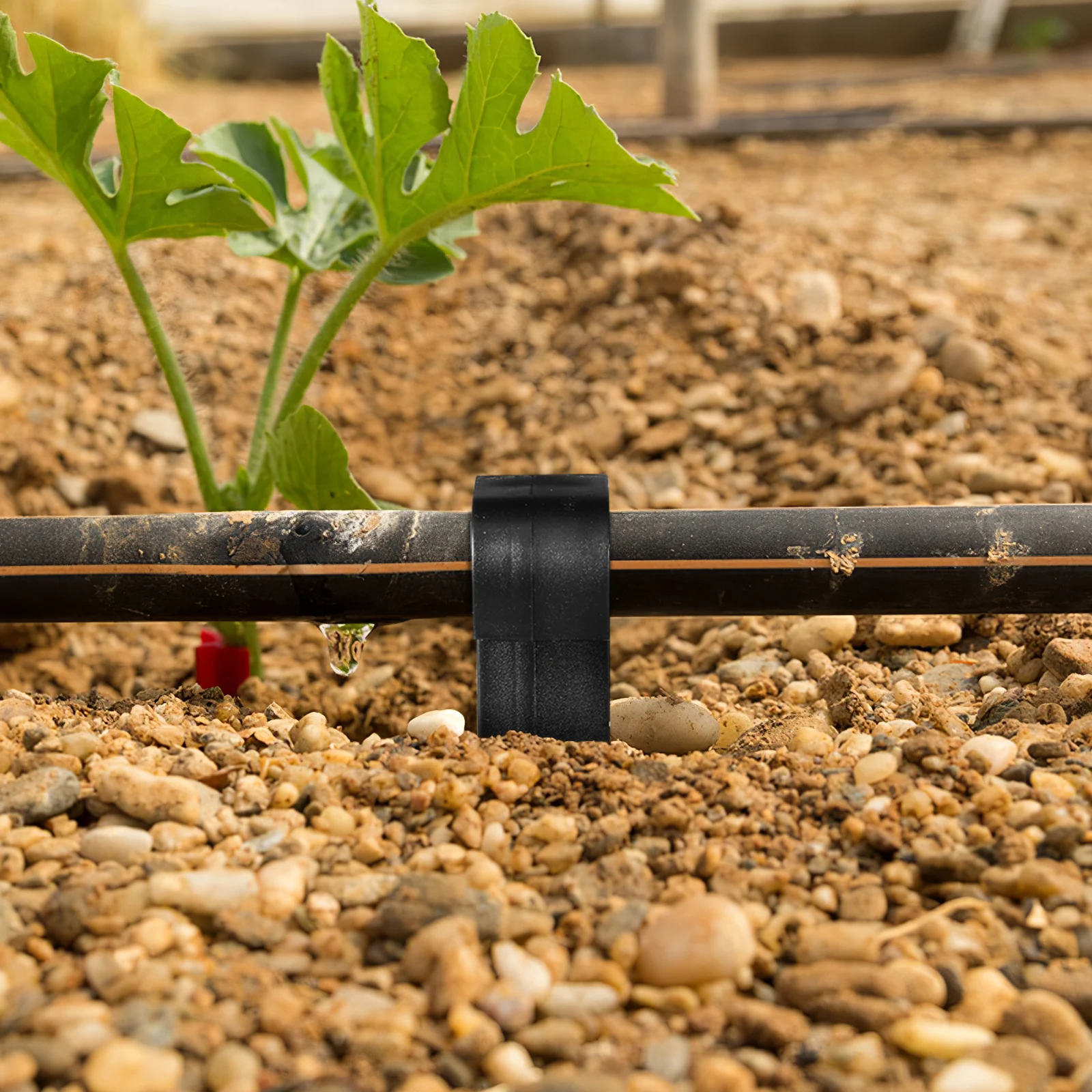 

100 pcs Pe Pipe Plug Rods Irrigation Stakes Drip Line Stakes Sprinkler Support Garden Landscaping Plastic Pegs Watering System