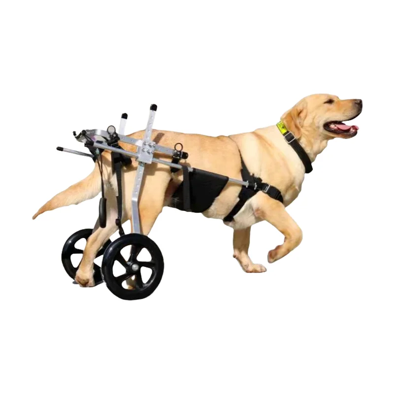Factory direct sales medium and large dog wheelchair car rear limb rehabilitation training disabled pet wheelchair