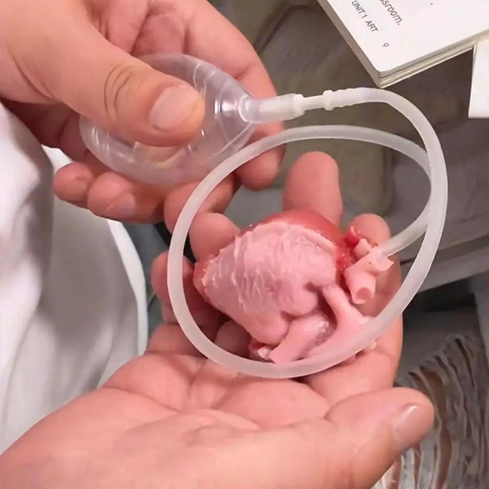 Giocattolo a forma di cuore Fiore cerebrale simulato Giocattolo di scherzo orribile di Halloween Allevia l'ansia Sfiato Stress Giocattolo di organo finto