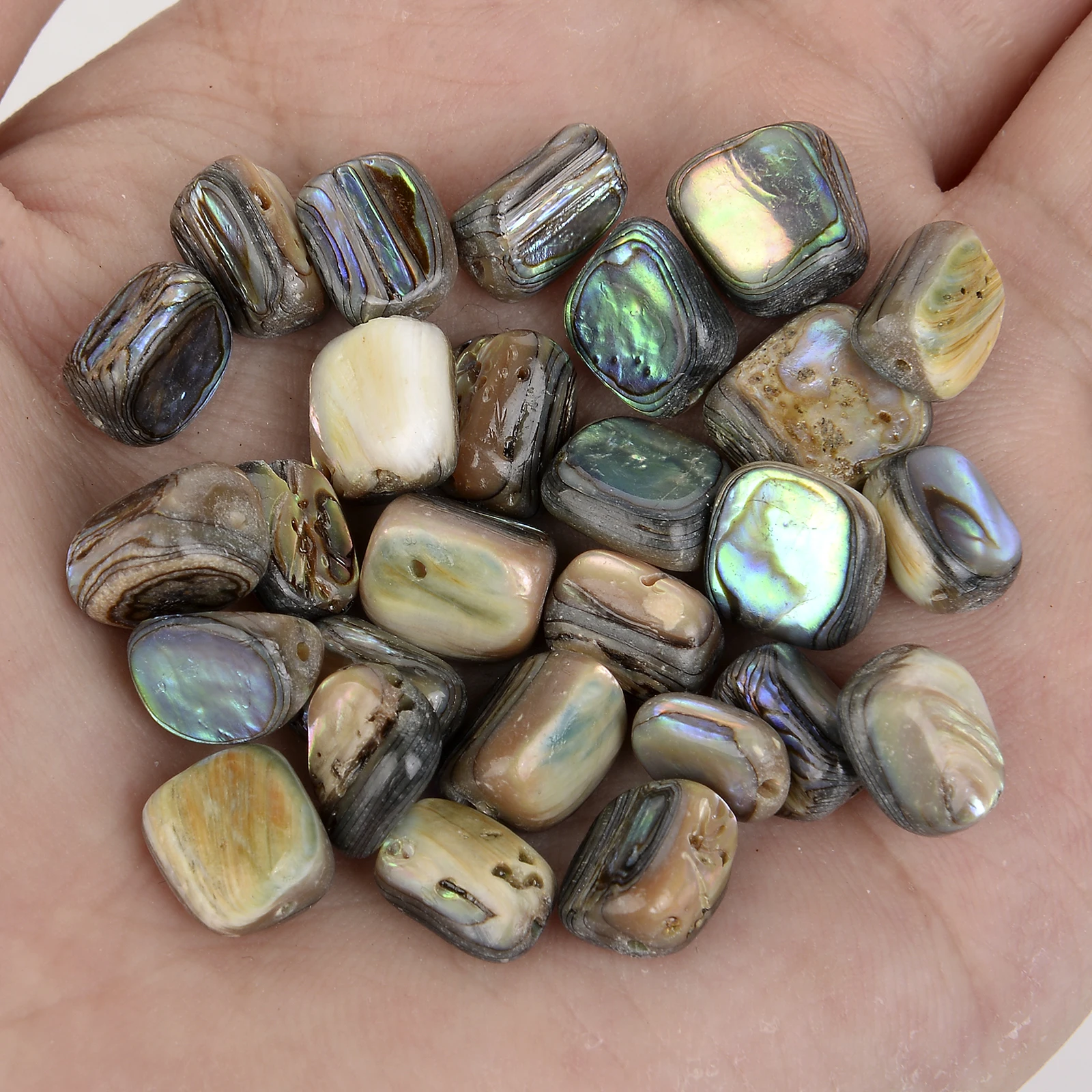 5Pcs 11x10mm Natural Abalone Shell Beads Irregular Shape Loose Spacer Beads for Jewelry Making DIY Bracelet Necklace Accessories