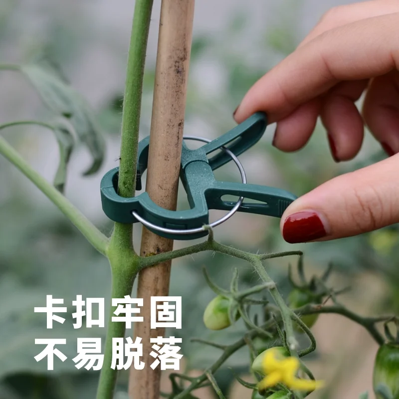 

Climbing vine plant fixing clip green buckle large