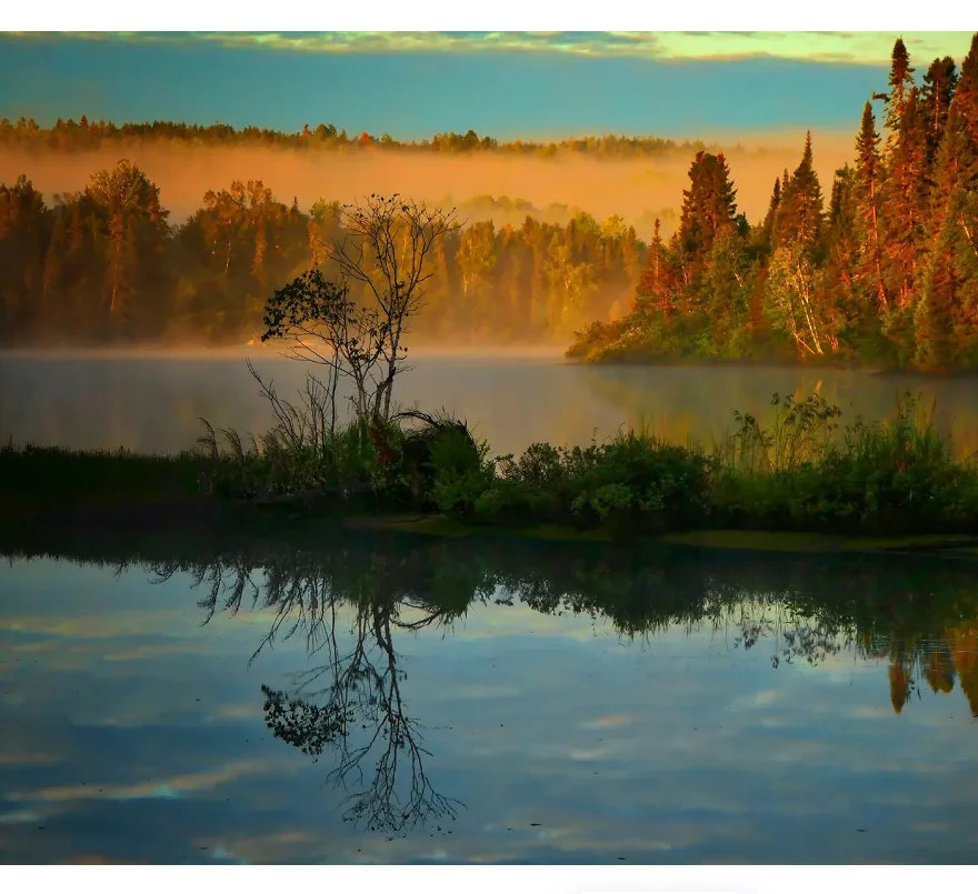 

1:24 Scale 4WD RC Drift Car 2.4G High Speed Remote Control Mini Racing Car Competition Vehicle for Adults Kids