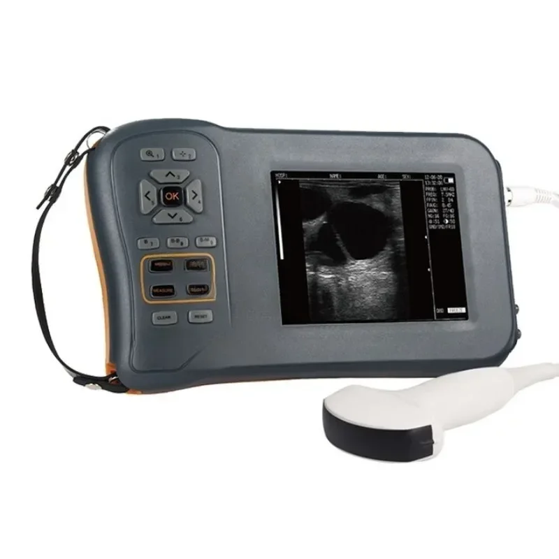 Color veterinary B-ultrasound electronic probe B-ultrasound detector for pigs Large screen B-ultrasound for pigs After