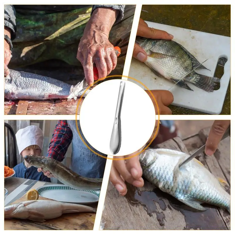 Cepillo escalador de pescado, escalador de pescado de cocina, herramienta descalcificadora de pescado portátil con dientes de sierra, elimina fácilmente escamas de pescado para limpieza de peces