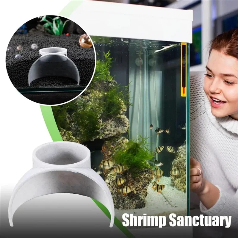 Yls-Fish Cave Fish … - image