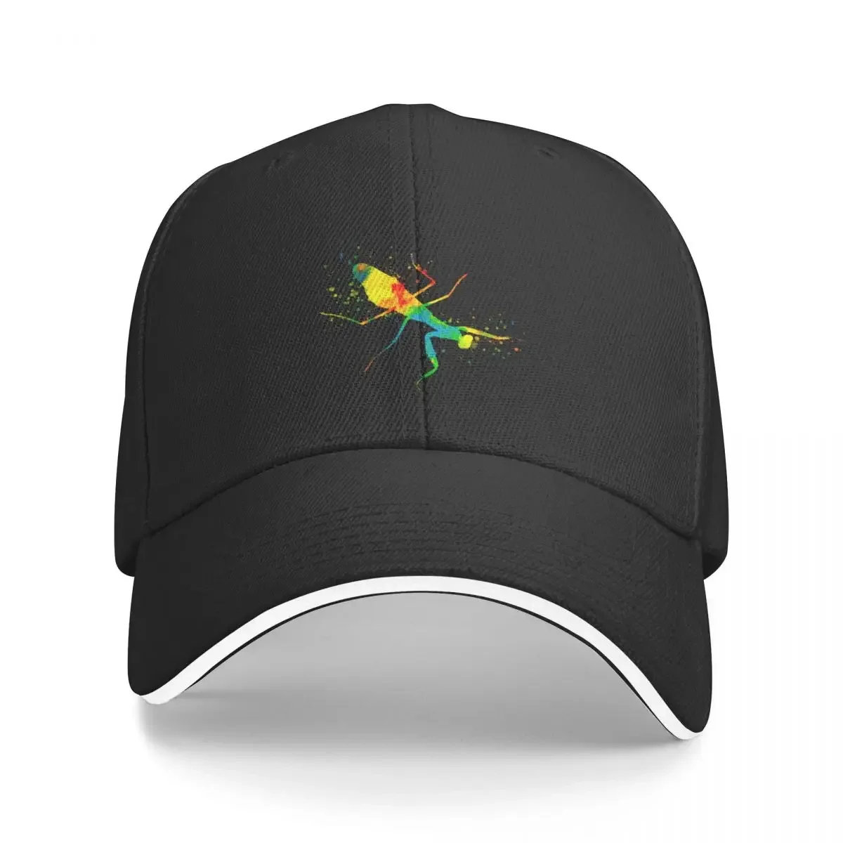 Mantis colorful watercolors insect bugs Baseball Cap Big Size Hat Ball Cap Women's Beach Men's