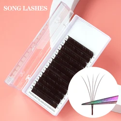 Song Lashes 12 Rows Dark Brown Eyelash Extensions C/CC/D Curls High Quality Lashes Professional Makeup Tools Individual or Salon