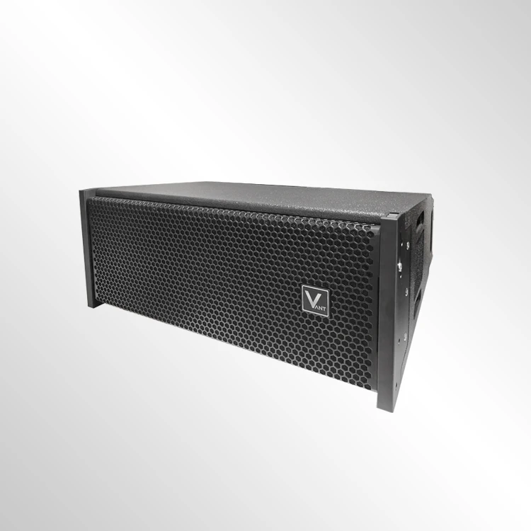 with Built-in DSP Amplifier Module Outdoor Performance Speakers Bars Schools Weddings