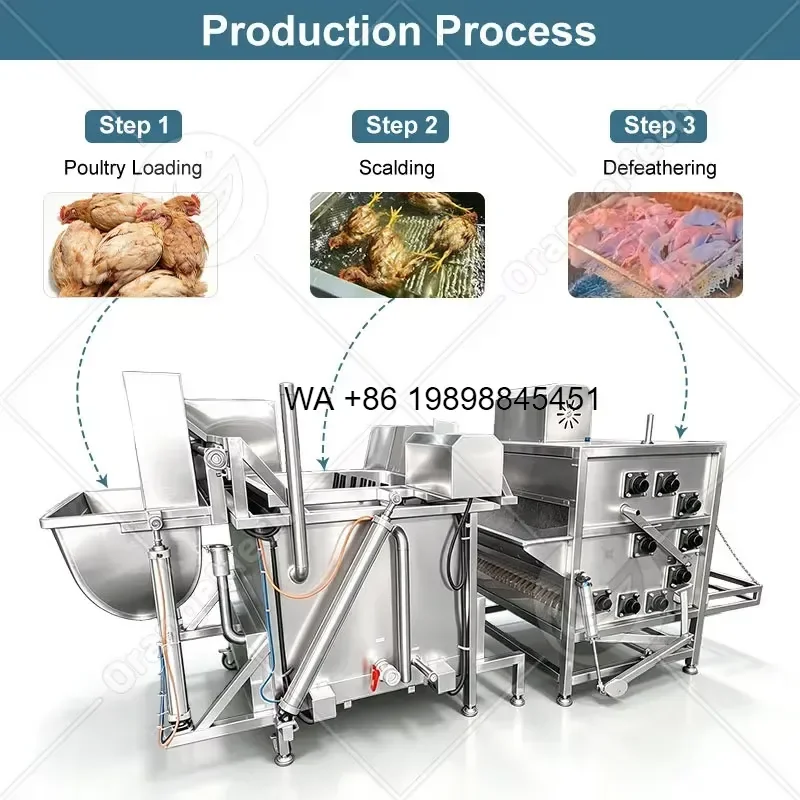 Wmwmnu for ORME Chicken Defeather Equipment Slaughterhouse Poultry Scalder Plucker for Chicken