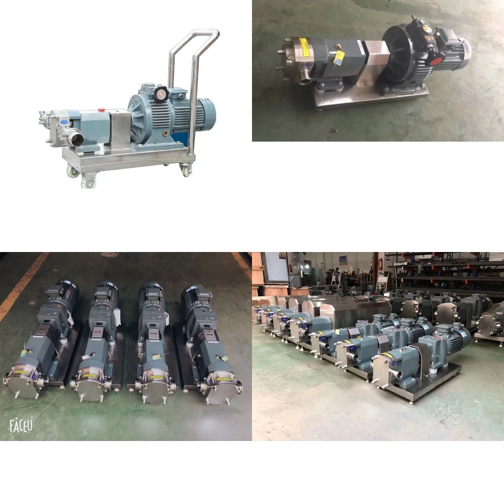 

Food Grade SS304 SS316L 2HP Sanitary Rotary Lobe Pump for Industrial Food Processing Dairy Pharmaceutical Cosmetics Beverage