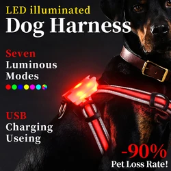 Waterproof LED Dog Harness for Dogs, Charging Dog Accessories, Large Reflective Harness for Dogs