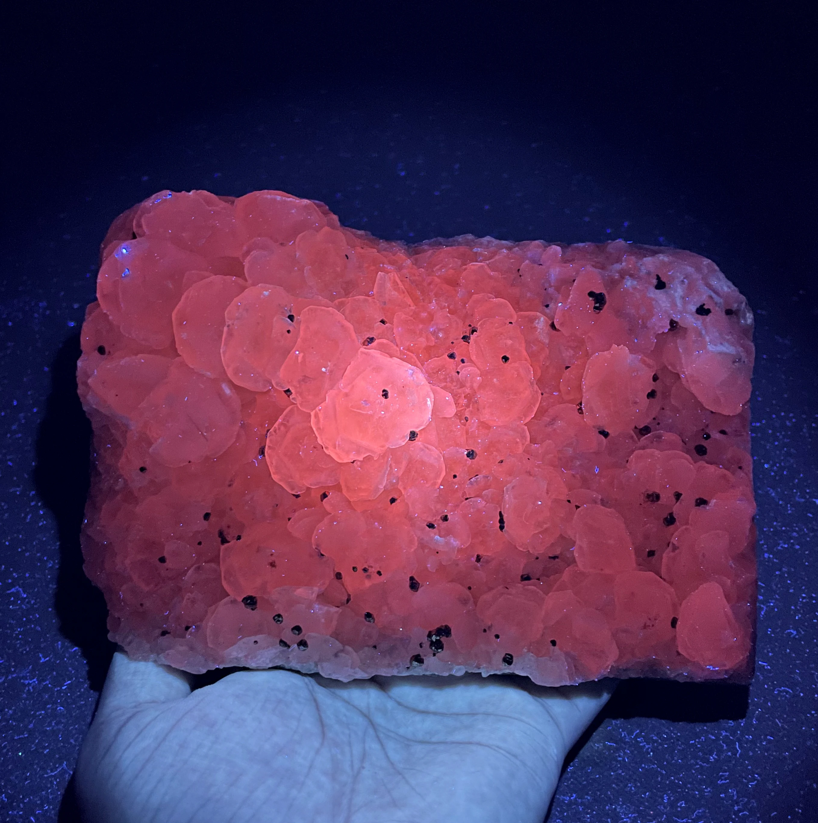 

BIG! 1236g natural Fluorescent calcite and pyrite symbiosis mineral specimen stones and crystals healing crystals quartz