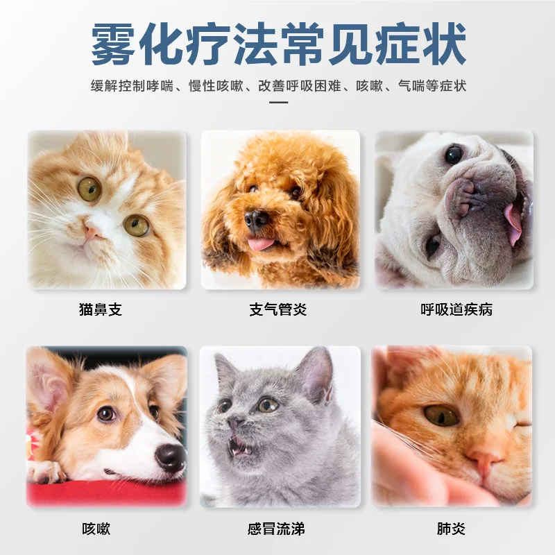 Children's Medical Spray-Type Preventing Phlegm from Forming and Stopping Coughing Baby Pet Exclusive for Cats Atomizer