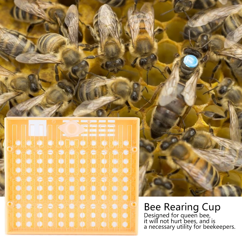 1 Set QueenBee Rearing Cup Plastic Rearing Cup Queen Rearing System Beekeeping Tools Bee Rearing Box for Beekeeping Equipment