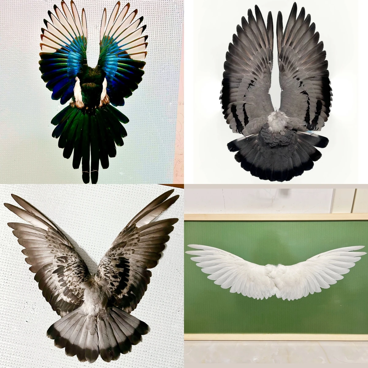 

2184 Feather Decoration Painting 3D Shadow Box Handmade Art Gothic Wall Decor Christmas Halloween Party Gift Nature Collectible