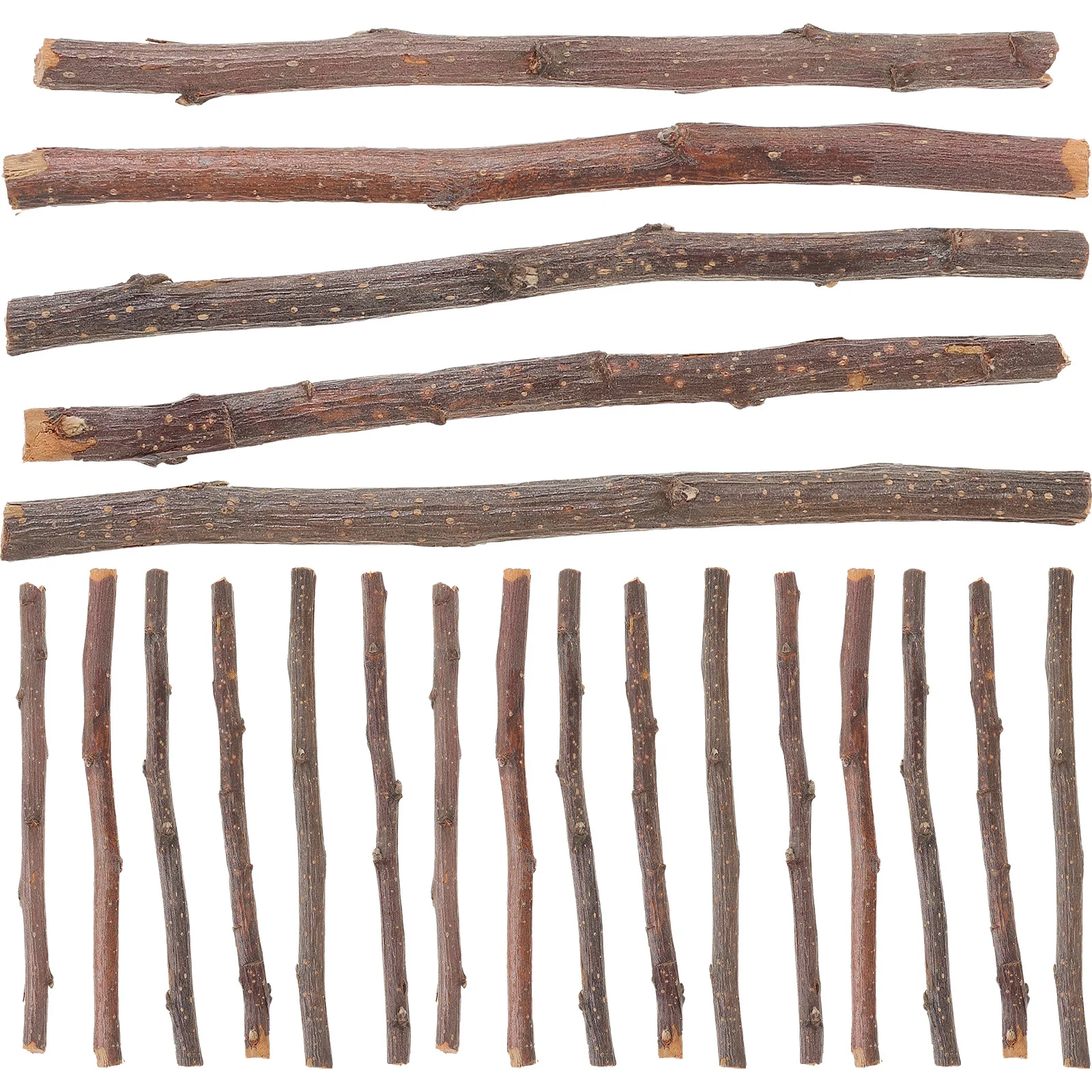 

40 Pcs Craft Wood Stick Sticks Twigs Log Jumbo Birch for Decorating Decorative Outdoor